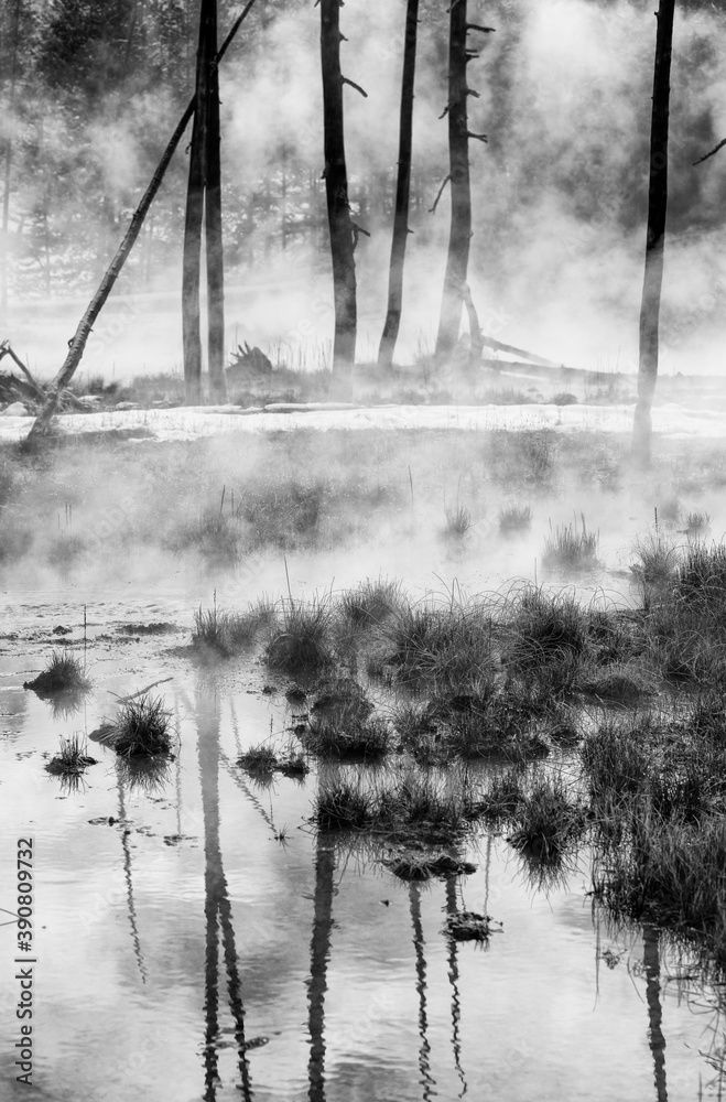 Fototapeta premium Hot Springs, Yellowstone National Park, Unesco World Heritage Site, Wyoming, Usa, America