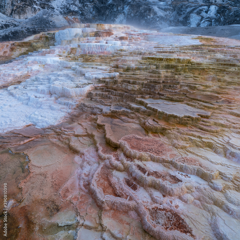Obraz premium Mammoth Hot Springs, Yellowstone National Park, Unesco World Heritage Site, Wyoming, Usa, America