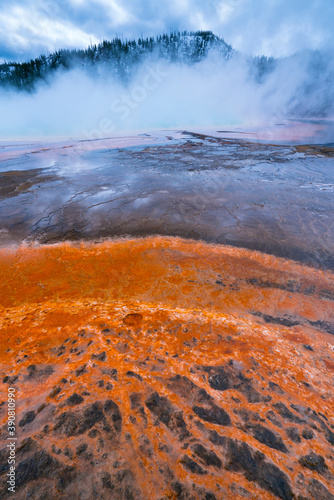 Grand Prismatic Spring, Grand Prismatic Area, Yellowstone National Park, Unesco World Heritage Site, Wyoming, Usa, America