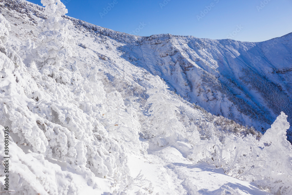 冬の硫黄岳山頂への登山道