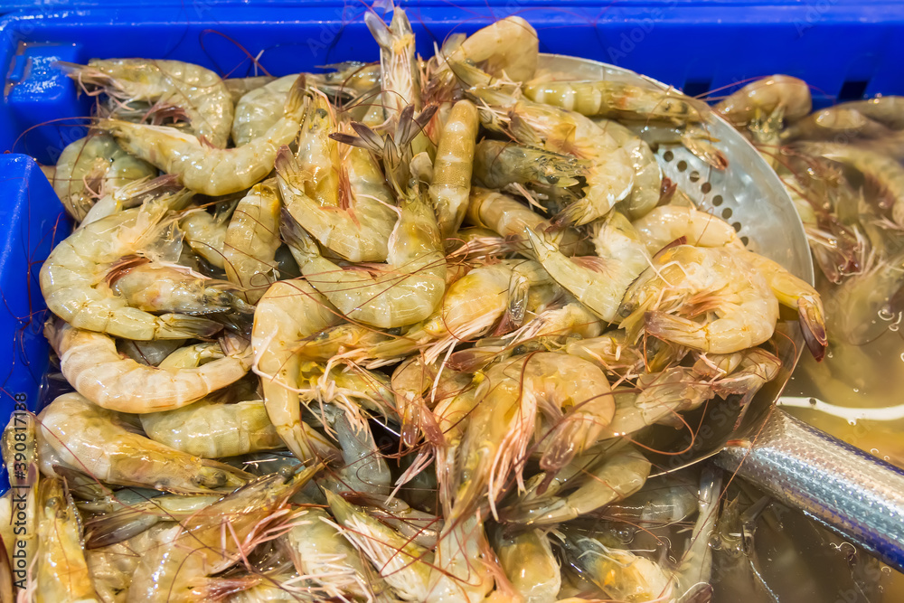 fresh shrimp counter for sale, fish market