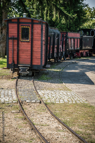 Narrow-gauge train surrounded by trees in the Narrow Gauge Railway Museum, Wenecja, Poland