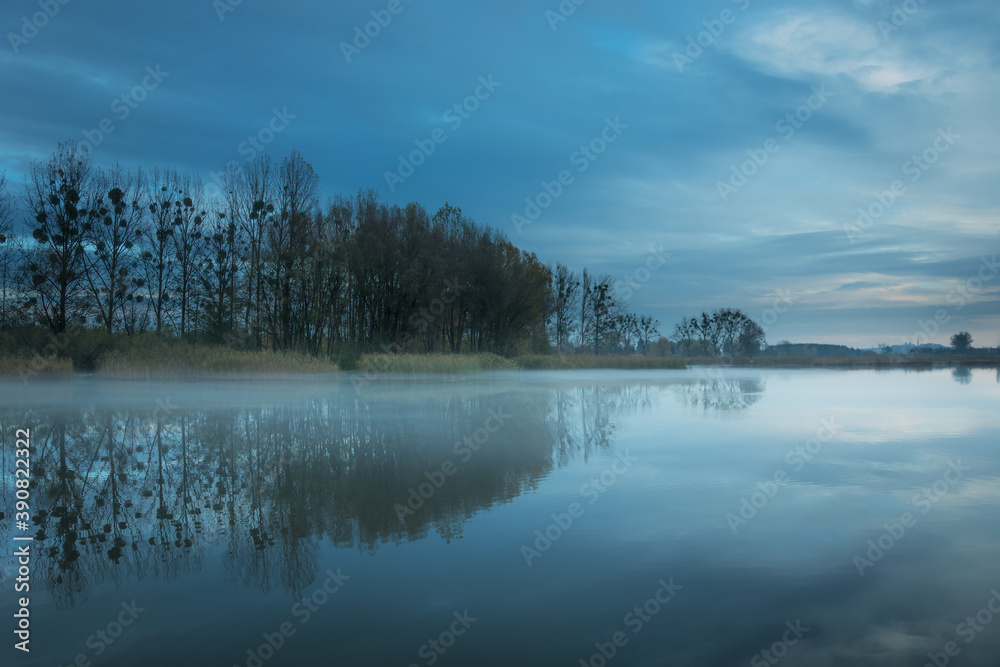 Misty lake, trees without leaves and the evening sky