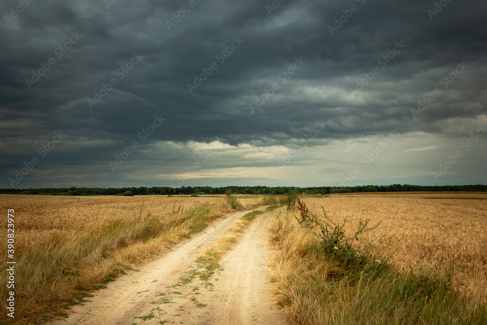Country road through golden fields and dark rainy clouds