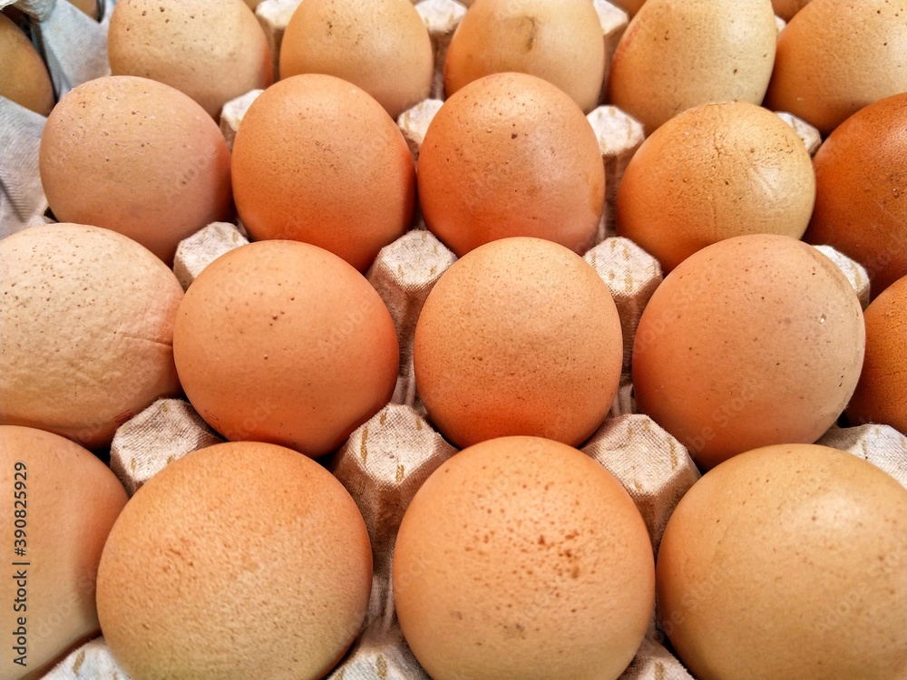 eggs in a box eggs in a box