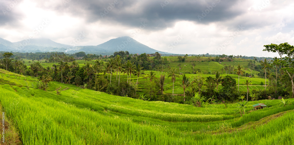 Panorama landscape of green rice terraces with clouds and mountains in the background, Jatiluwih, Bali, Indonesia Panorama landscape of green rice terraces with clouds and mountains in the background, Jatiluwih, Bali, Indonesia