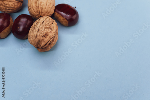 High angle shot of a background with hazelnuts and walnuts with a copy space photo