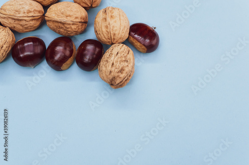 High angle shot of a background with hazelnuts and walnuts with a copy space photo