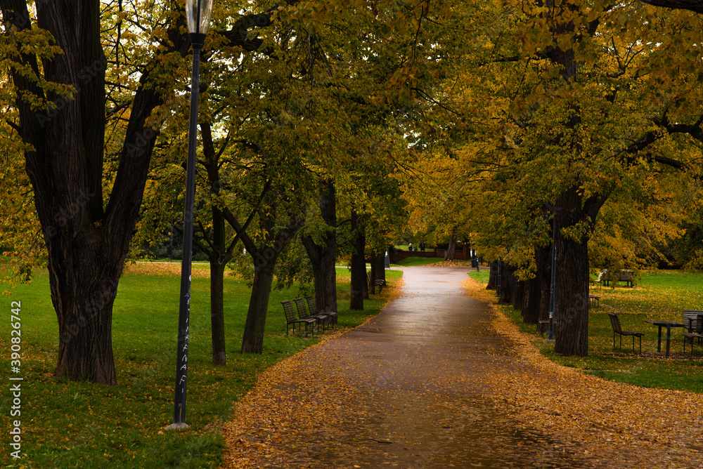Obraz premium A colorful path in the park