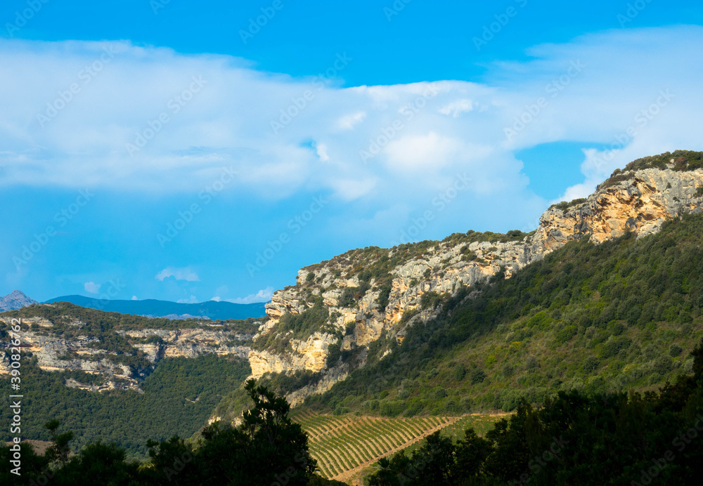 Beautiful countryside of Patrimonio, popular Wine tourism destination of Corsica, France