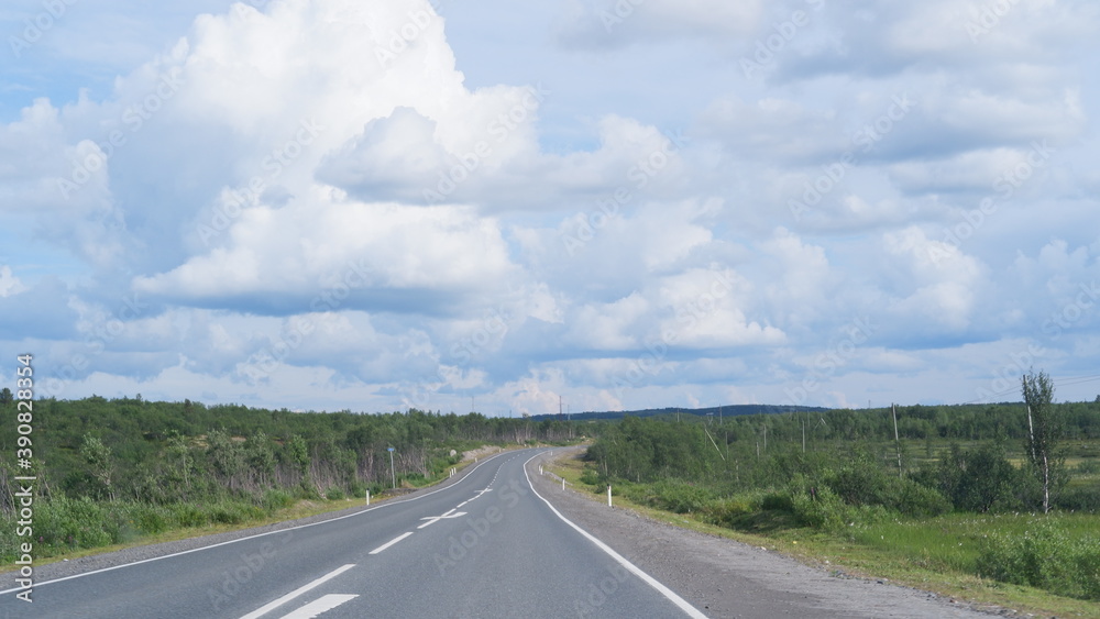 Highway or asphalt road through the forest. An empty roadway. Travel to natural places or reserves.