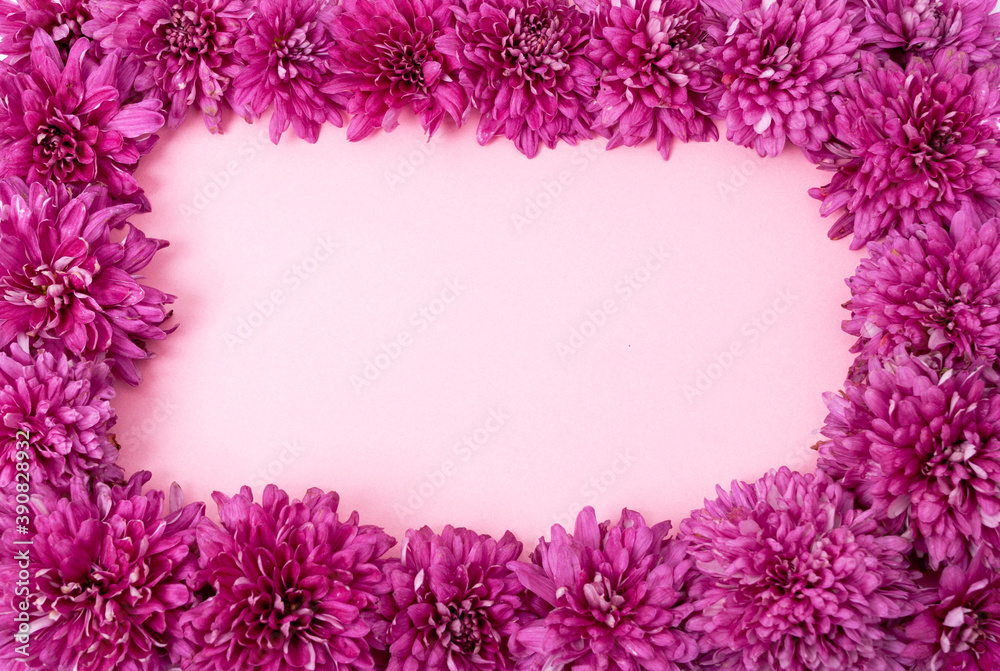 Winter rose frame. Colorful pink and purple shades. Seasonal flowers. Winter rose frame. Colorful pink and purple shades. Seasonal flowers.
