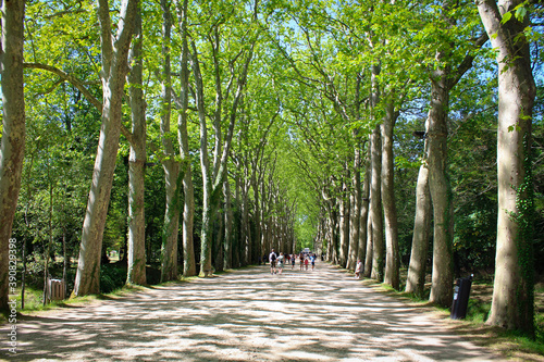 Château de Chenonceau / Allée entrée