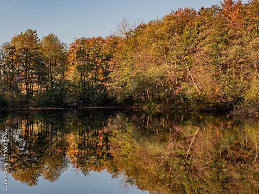 autumn trees reflected in water autumn trees reflected in water