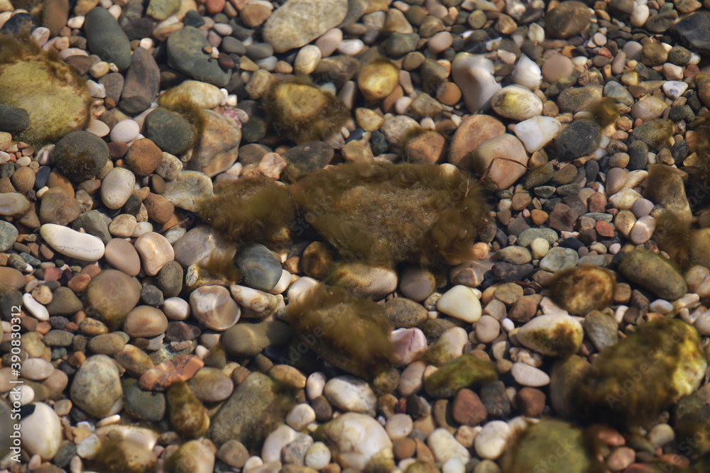 small sea pebbles in the water. Smooth stones small sea pebbles in the water. Smooth stones