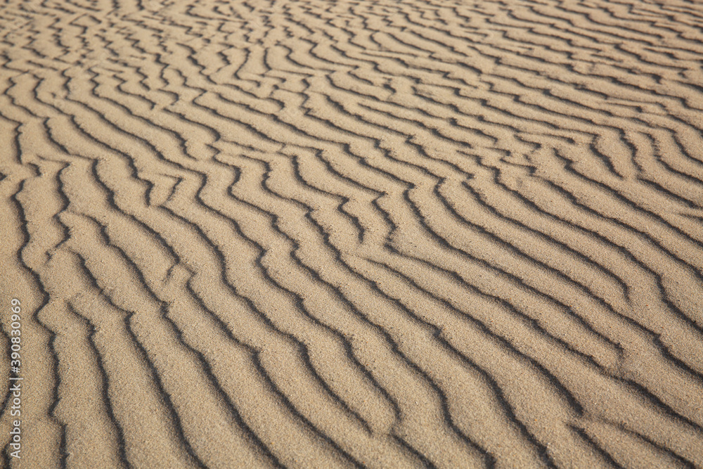 Diagonal ripple texture of sand due to wind at beach at Texel, The Netherlands Diagonal ripple texture of sand due to wind at beach at Texel, The Netherlands