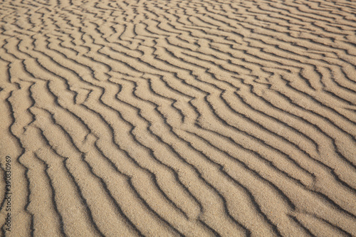 Diagonal ripple texture of sand due to wind at beach at Texel, The Netherlands