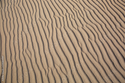 Diagonal ripple texture of sand due to wind at beach at Texel, The Netherlands