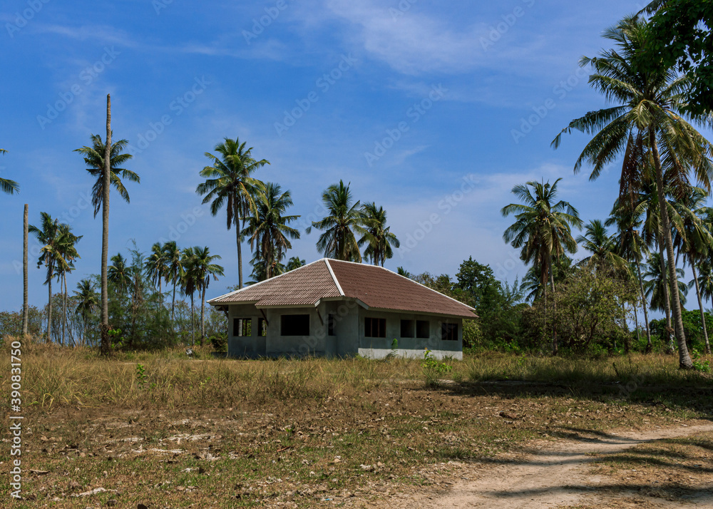 Abounded house in dry place, green palm trees Abounded house in dry place, green palm trees