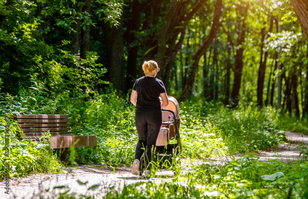 Fototapeta premium Mother wheeling a pram in the Park 