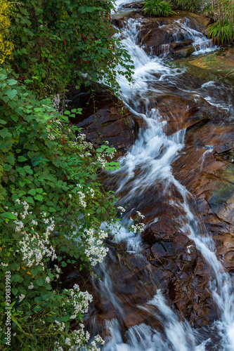 little streams with grass and flowers