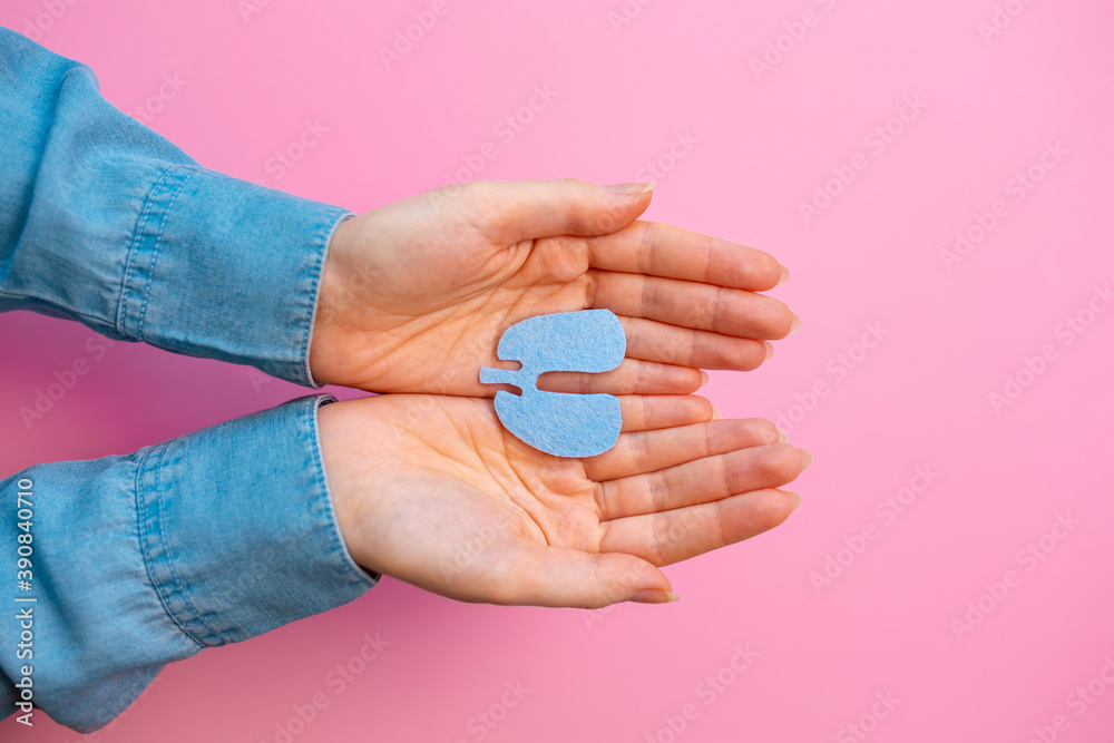World tuberculosis day. Female's hands hold the cut-out silhouette of the lungs. Flat lay. Pink background. Copy space