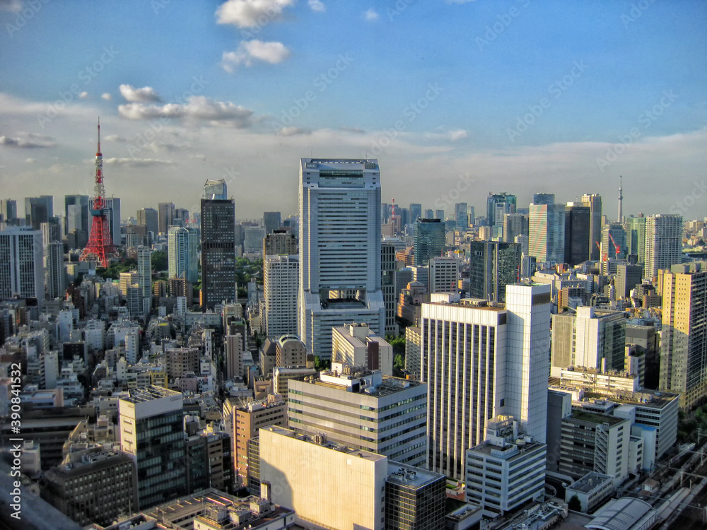 Obraz premium 【東京】港区から眺めた都市景観