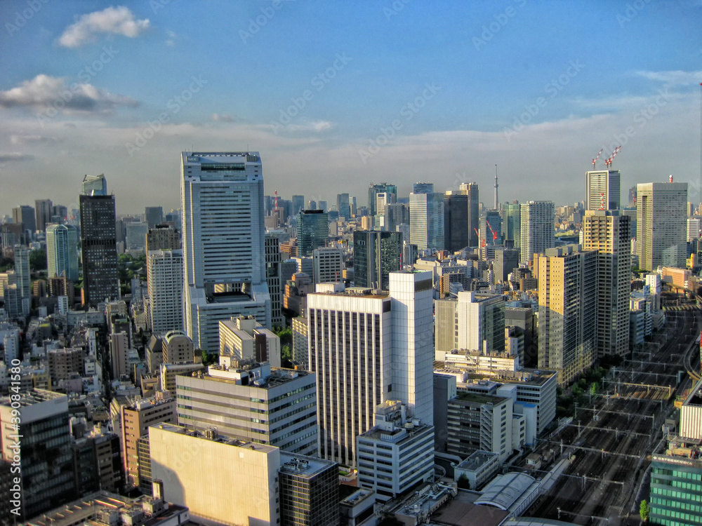 Fototapeta premium 【東京】港区から眺めた都市景観