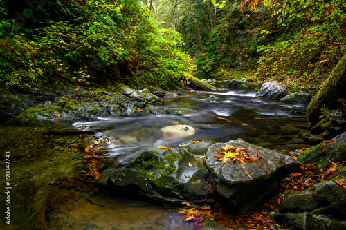 Limestone Box Canyon, Nitinat, Vancouver Island, BC Canada photo