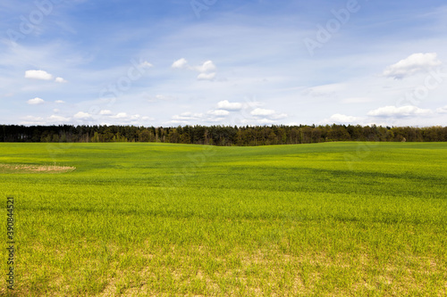 an agricultural field