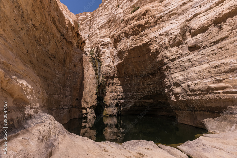View of Ein Avdat National Park oasis spring, located at the end of a deep canyon, carved by Zin stream at the foot of Midreshet Ben Gurion in Kibbutz Sde Boker, Negev desert, Southern Israel, Israel.