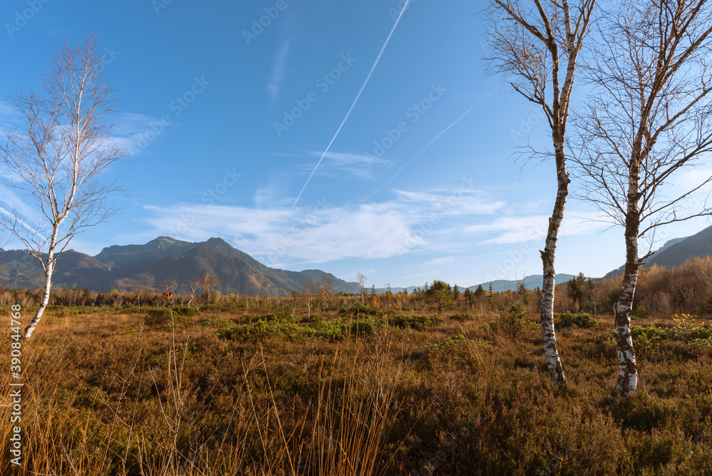 Moor Im Herbst vor Bergen mit blauem Himmel und Wolken Moor Im Herbst vor Bergen mit blauem Himmel und Wolken
