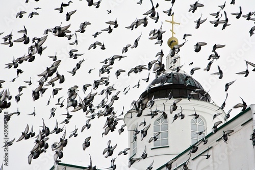 A flock of pigeons in the sky and the dome of the Resurrection Cathedral in the background in Arzamas, Russia. photo