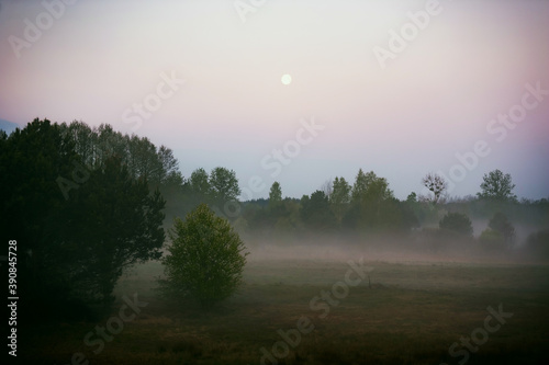 Mglisty poranek na Podlasiu