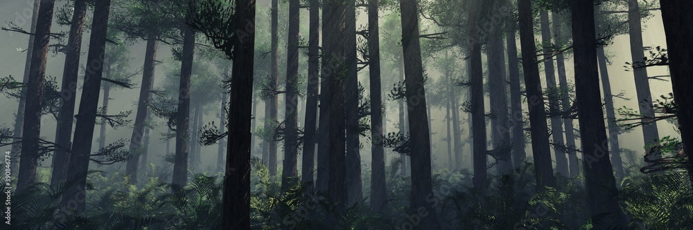 Obraz premium Trees in the fog. The smoke in the forest in the morning. A misty morning among the trees. 3D rendering