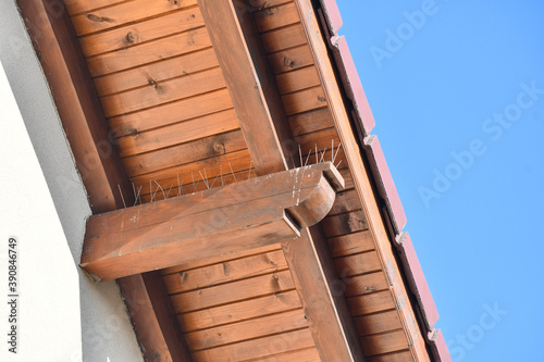 Anti bird spike steel stick on building structure for prevent birds build the nest
