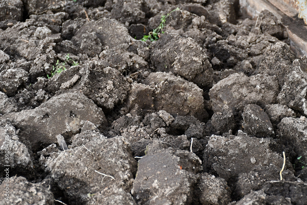 Dug up soil. Large comas of land. Dug up soil. Large comas of land.