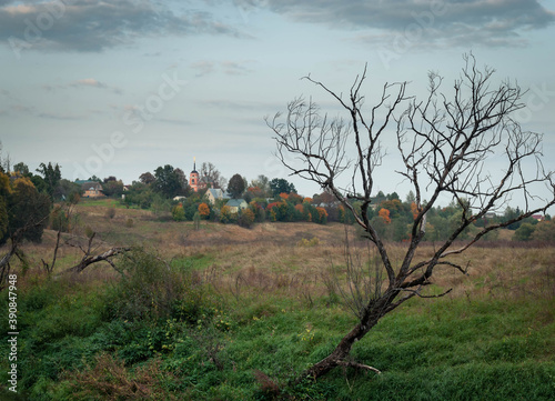 The landscape is a dry tree in the near term and on the horizon of the church.