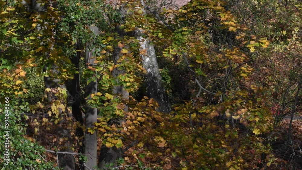 Autumnal Impressions from Citadel Park in Berlin Spandau of November 5, 2020, Germany