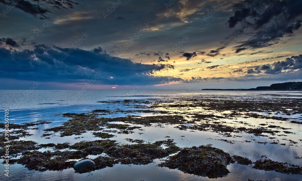 Fototapeta premium The shallow coast with cobbles covered with grass in the foreground of the White Sea against cloudy sky during sunset in Russia.