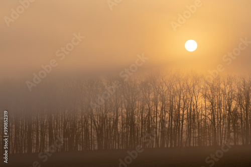 sunrise near Znojmo, South Moravia, Czech Republic