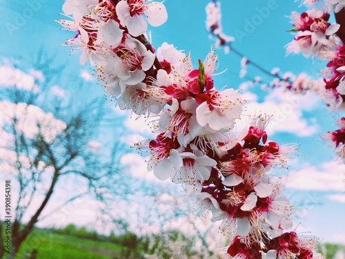 Spring 