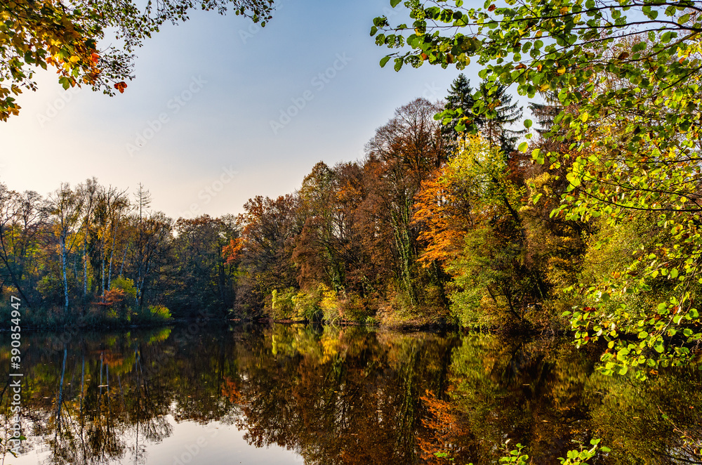 Herbst am See IV