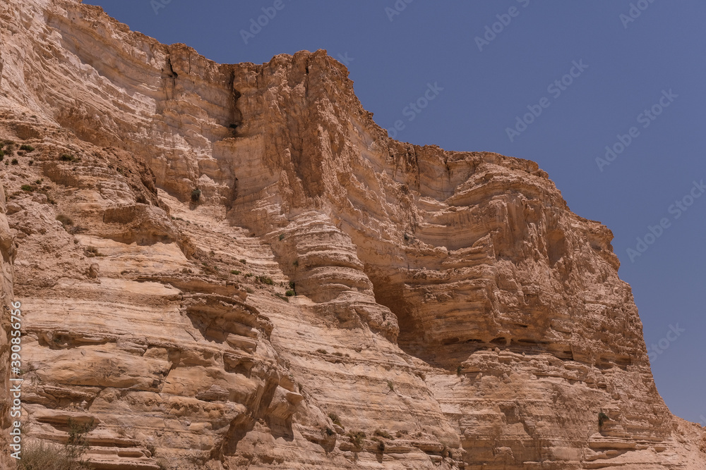 View of Ein Avdat National Park oasis spring, located at the end of a deep canyon, carved by Zin stream at the foot of Midreshet Ben Gurion in Kibbutz Sde Boker, Negev desert, Southern Israel, Israel. View of Ein Avdat National Park oasis spring, located at the end of a deep canyon, carved by Zin stream at the foot of Midreshet Ben Gurion in Kibbutz Sde Boker, Negev desert, Southern Israel, Israel.