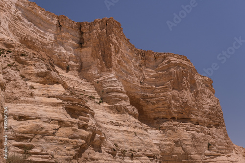 View of Ein Avdat National Park oasis spring, located at the end of a deep canyon, carved by Zin stream at the foot of Midreshet Ben Gurion in Kibbutz Sde Boker, Negev desert, Southern Israel, Israel.