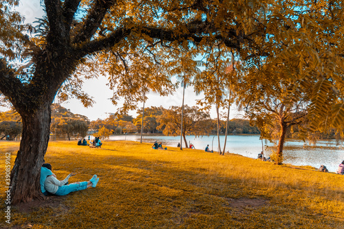 Paisagem do Parque Ibirapuera em São Paulo. Cores de outono. 
