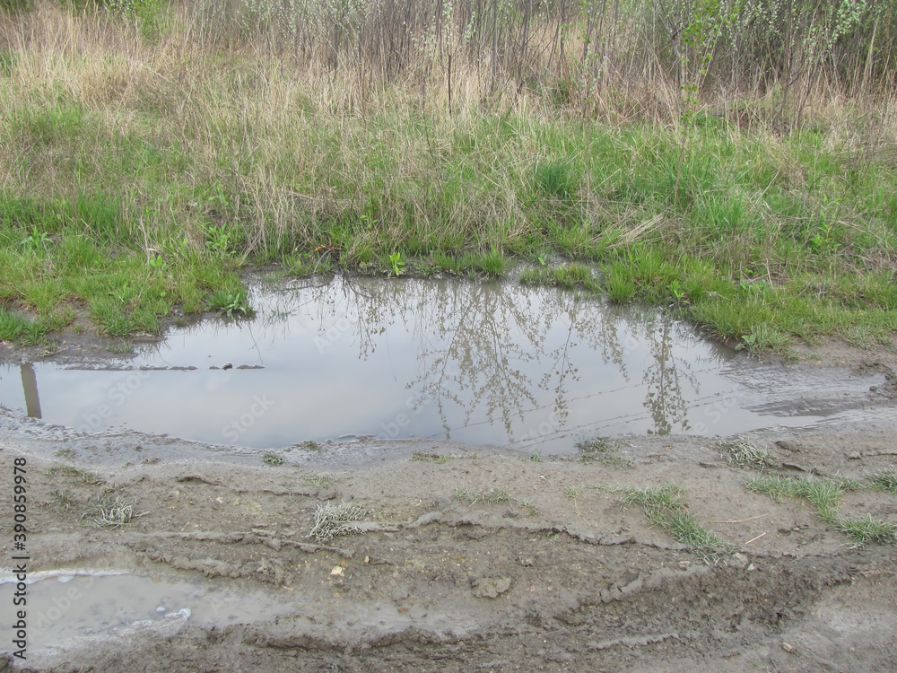 muddy puddle in green grass