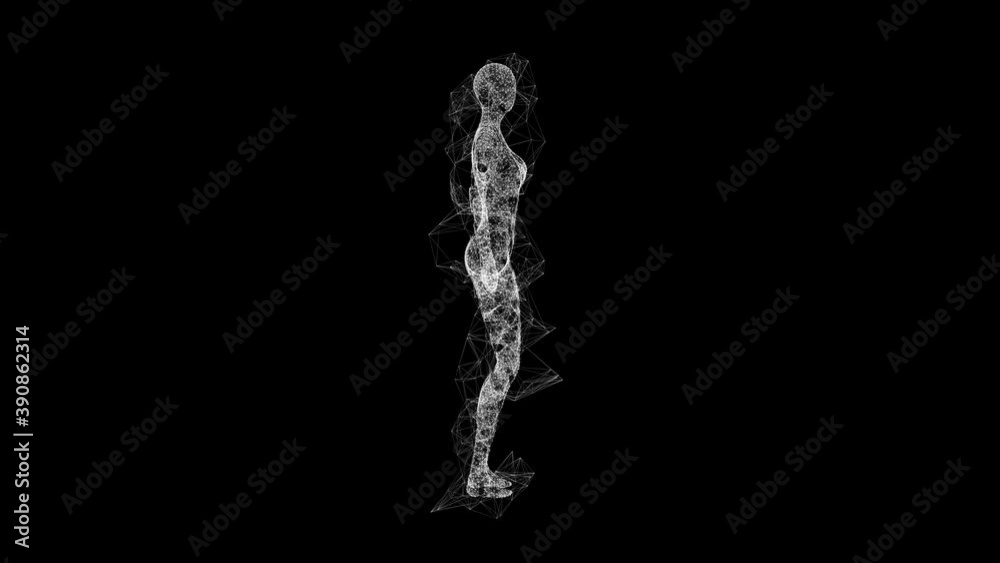 3d female or woman anatomy. Body biology medicine education concept. Wireframe low poly mesh cyberspace grid science and technology Available in 4K FullHD and HD video 3d female or woman anatomy. Body biology medicine education concept. Wireframe low poly mesh cyberspace grid science and technology Available in 4K FullHD and HD video