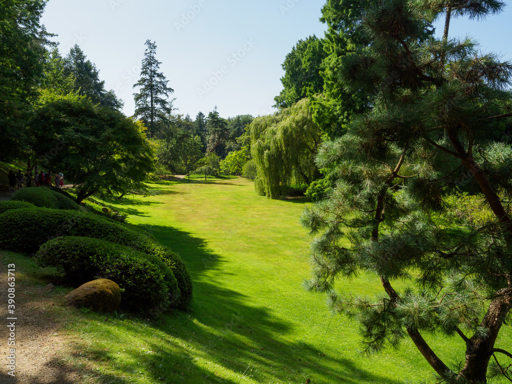 jardin japonais à Maulévrier en Maine-et-Loire en France Stock Photo |  Adobe Stock