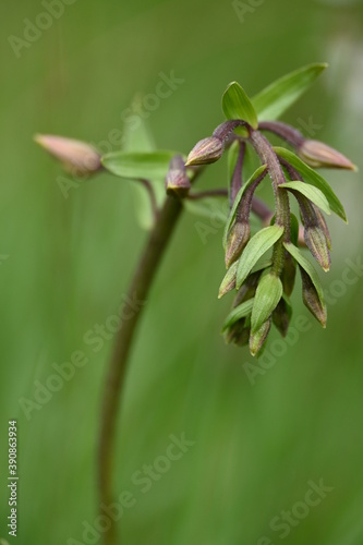 Wallpaper Mural Geo-Pfad bei Achenkirch nordwestlich des Guffert. Torontodigital.ca